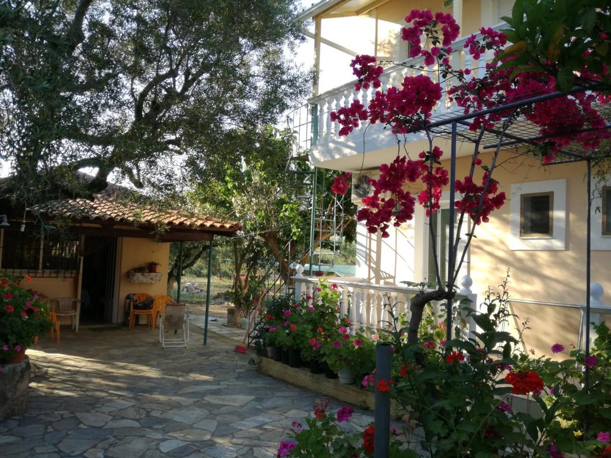 Lägenhetshotell Casa Dyonisia Tsilivi Plános