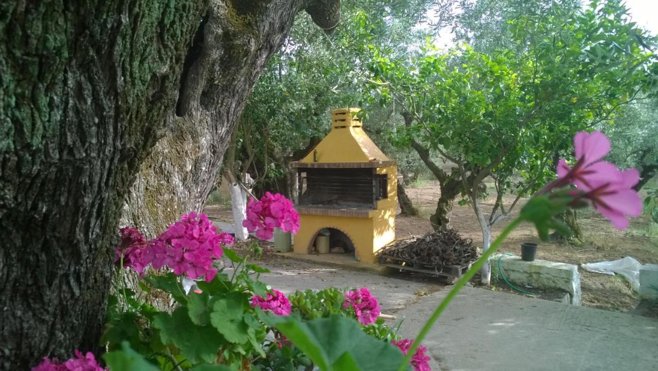 Casa Dyonisia Tsilivi * Plános