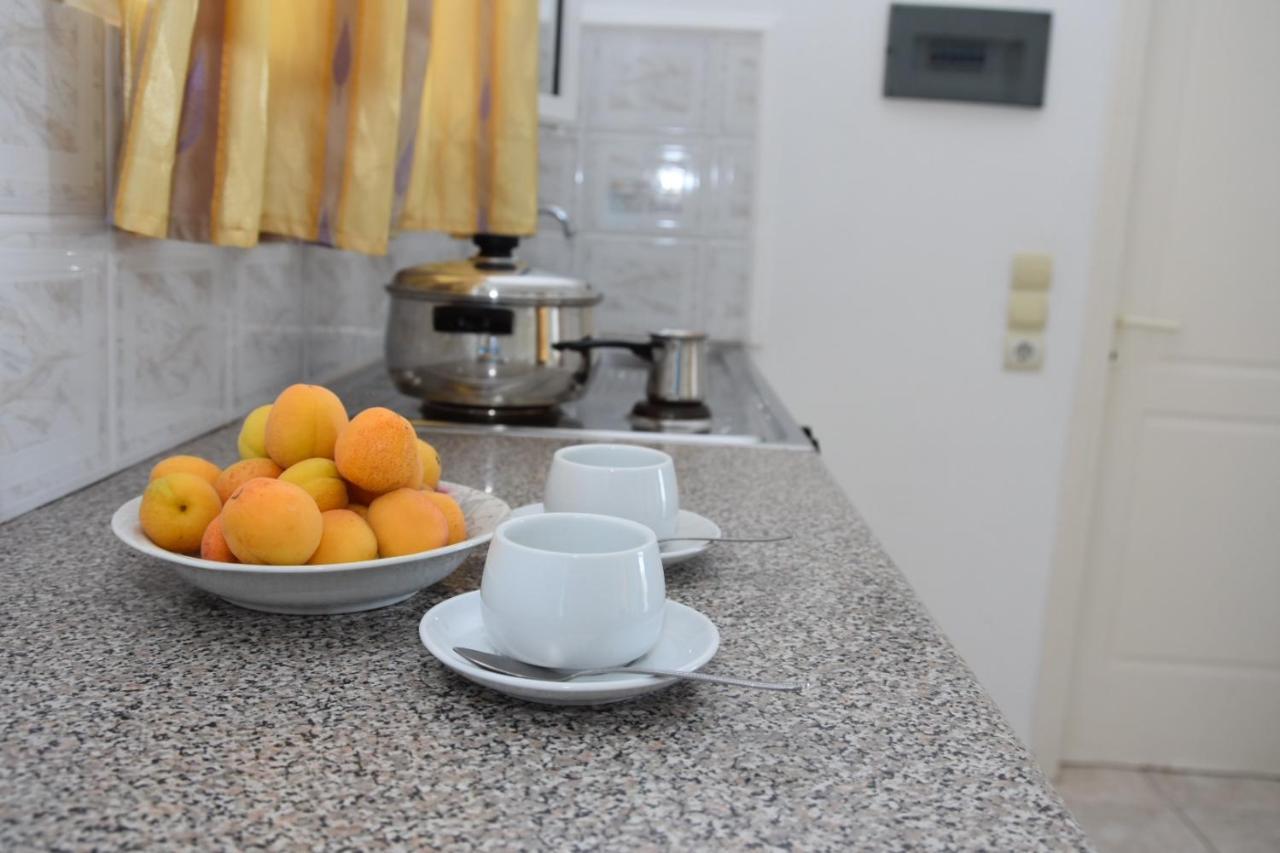 Casa Dyonisia Tsilivi Lägenhetshotell Plános