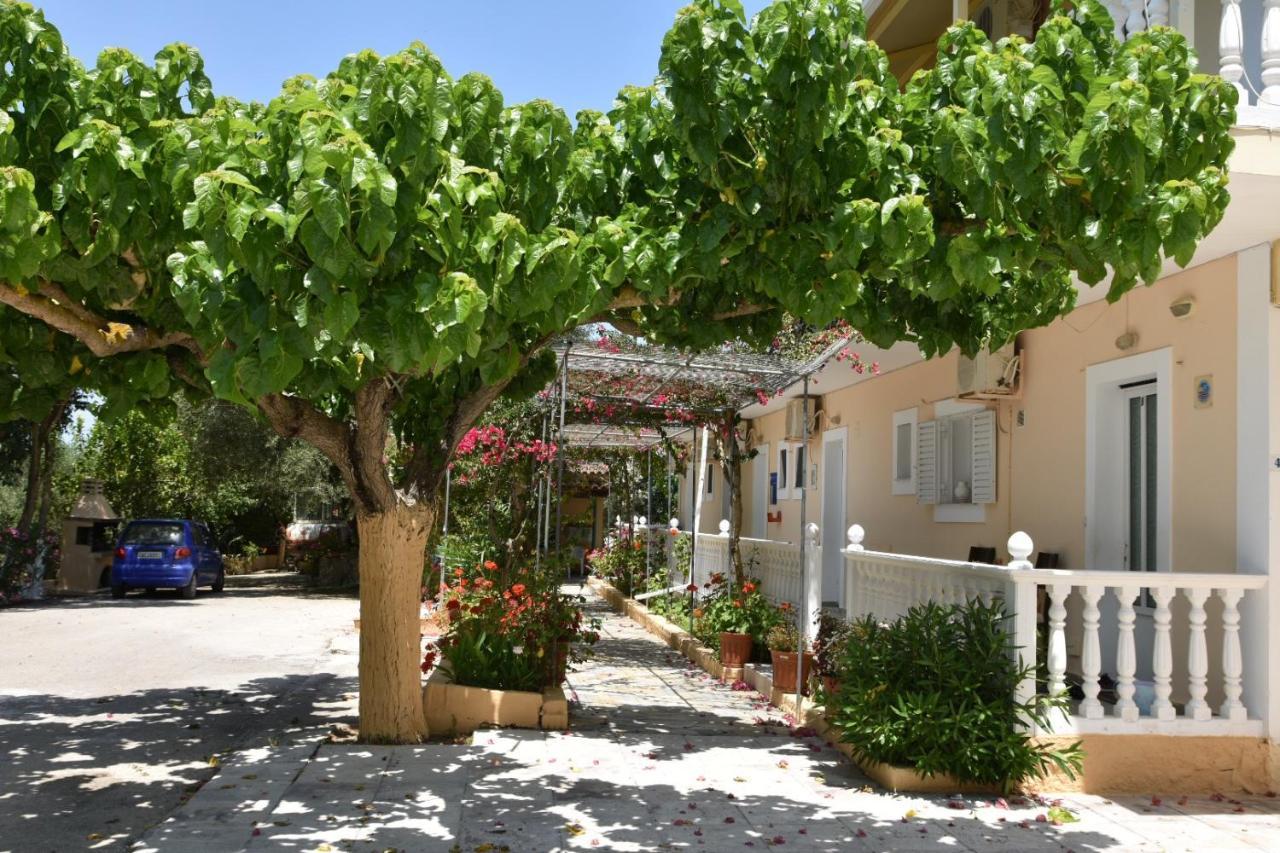 Casa Dyonisia Tsilivi * Plános
